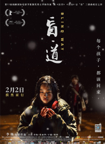 国产成人精品久久久久大片